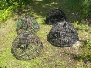 Lobster Pots in Ryde