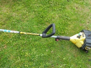PETROL STRIMMERS .  project  in Ventnor